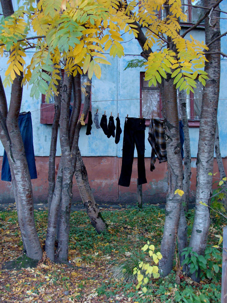 RUSSIAN_BLUES_PHOTO_023_w